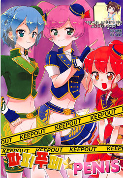 (C91) [Shan Maryland (Natin)] Papipupe PENIS (PriPara) [Korean]