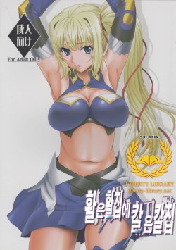 [Oretachi Misnon Ikka (Suhara Shiina)] Yumi wa Fukuro ni Tachi wa Saya | 활은 활집에 칼은 칼집  (Madan no Ou to Vanadis) [Korean] [Liberty Library]