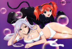 Rosario to Vampire