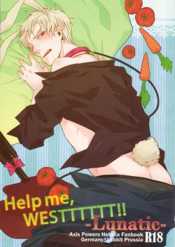 [LUNATIC] Help me, westttttt!! (Axis Powers Hetalia)