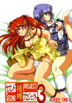 [Thirty Saver Street 2D Shooting (Maki Hideto, Sawara Kazumitsu)] Second Hobaku Project 3 (Neon Genesis Evangelion)