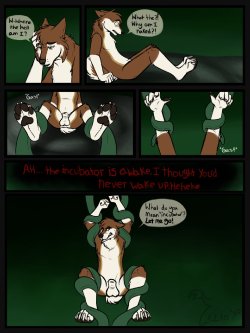 [BinturongBoy] The Incubator