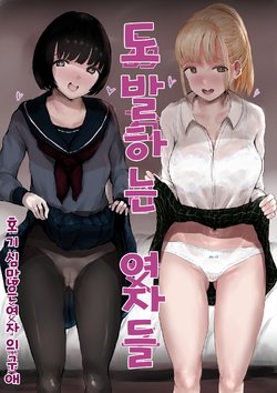 [Metacorapusu (Metacora)] Aori Joshi -Wakaritagari-kei Joshi no Kyuuai- | 도발하는 여자들 -호기심 많은 여자의 구애- [Korean]