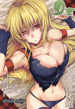 (C84) [N.S Craft (Simon)] DE (Mahou Shoujo Lyrical Nanoha) [Chinese] [无毒汉化组]