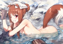 [Ajisaidenden (Kawakami Rokkaku, Takanashi Rei)] Wacchi to Nyohhira Bon FULL COLOR DL Omake (Spice and Wolf) [Digital]