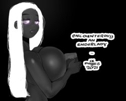 [Roumgu] Encountering an Enderlady (Minecraft)