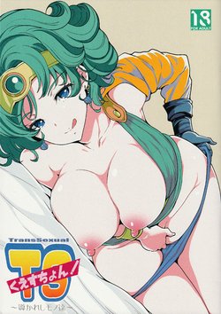 (C90) [Momoiro-Rip (Sugar Milk)] TS Question! ~Michibikare Shimono-tachi~ (Dragon Quest IV)