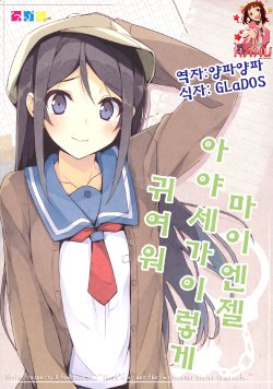 (C81) [NtyPe (Mizoguchi Keiji)] My Angel Ayase ga Konna ni Kawaii. (Ore no Imouto ga Konna ni Kawaii Wake ga Nai) [Korean] [Team HA-NU]