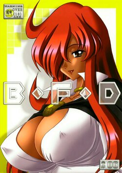 (C73) [Bousou!! Fuhatsudan (Takai Biki)] B.F.D 06 (Zero no Tsukaima)  [Spanish] [Renasentista_313]