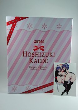 [Figure]Kaede Hoshizuki