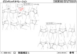 Vividred Operation_settei