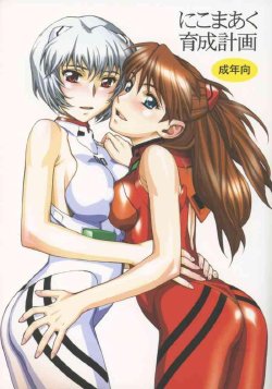 (C65) [Nikomark (Minazuki Juuzou)] Nikomark Ikusei Keikaku (Evangelion)