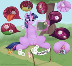 Twilight Sparkle Vore Collection