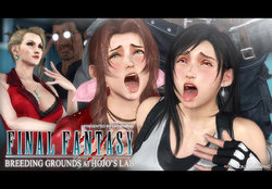 FINAL FANTASY VII / BREEDING GROUNDS: AERITH x TIFA (CHOBIxPHO)