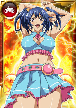 Ikkitousen Cards Coleccyion Bashoku Youjou set