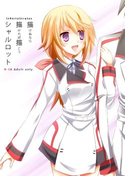 [All Write (Kakeru)] Kakenunara Kakereba Kakou Charlotte (IS <Infinite Stratos>)