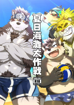 [WILD STYLE (ROSS)] Summer Beach Battle | Batalha do Vôlei de Praia (Tokyo Afterschool Summoners) [Portuguese-BR] [Digital]