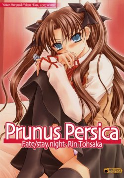 (C73) [Yakan Honpo & Yakan Hikou (Inoue Tommy)] Prunus Persica (Fate/stay night)