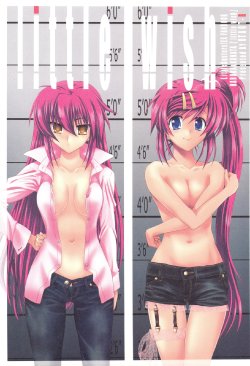 (COMIC1☆3) [OTAUT-R (Hidaka Sora, Sumeragi Hamao)] little wish (Little Busters!)