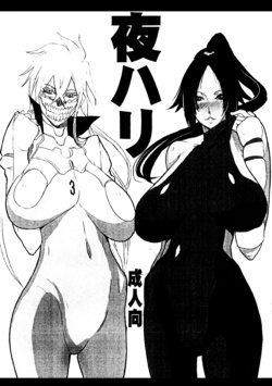 (C75) [VARIABLE? (Yukiguni Eringi)] Yoru Hari (BLEACH) [English] {Doujins.com}