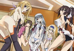 IS (Infinite Stratos) Collection