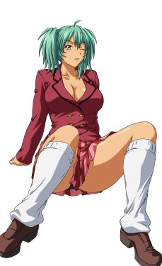 Gallery Hentai By Roger Silver Fox - Ryofu Housen - (Ikkitousen)