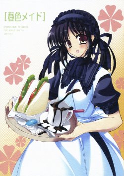 (CosCafe18) [OTOMEKIBUN (Sansyoku Amido)] Haruiro Maid