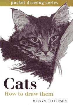 Melvyn Petterson - Cats How To Draw Them