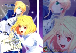 (C75) [Crazy Clover Club (Shirotsumekusa)] T-MOON COMPLEX X04 (Fate/hollow ataraxia, Tsukihime) [Chinese]