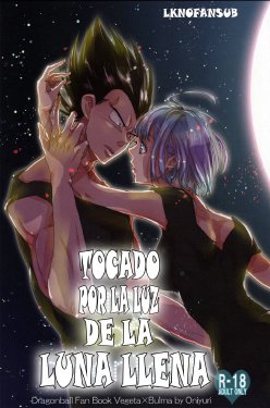 (C82) [Hatarakimasen.. (Oniyuri)] The drop of moonlight (Dragon Ball Z) [Spanish] [LKNOFansub]