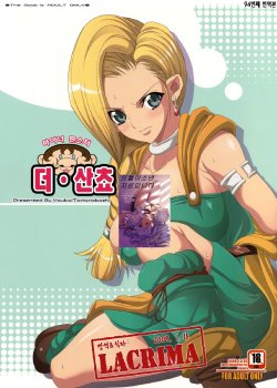 (C75) [Youkai Tamanokoshi (CHIRO)] The Sancho | 더 산쵸 (Dragon Quest V) [Korean] [LACRIMA]