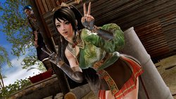 Go hunting ! (Dynasty Warriors9)