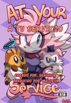 [Senshion] At Your Service | A tu servicio (Sonic the Hedgehog) [Spanish] [Malorum]