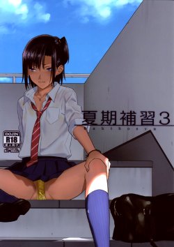 (C85) [Hito no Fundoshi (Yukiyoshi Mamizu)] Kaki Hoshuu 3 [English] [Colorized]