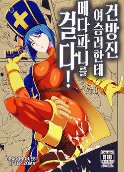 (C90) [Poppenheim (Kamisyakujii Yubeshi)] Namaiki na Onna Souryo ni Medapani o Kurawasero! + Shadow Galko-chan | 건방진 여승려한테 메다파니를 걸다! (Dragon Quest III, Oshiete! Galko-chan) [Korean]