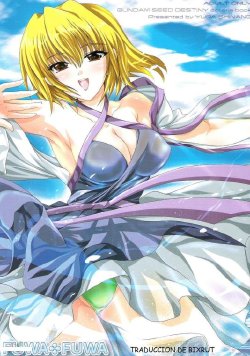 [FANTASY WIND (Shinano Yura)] FUWA+FUWA (Gundam SEED DESTINY) [Spanish]