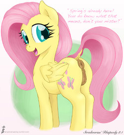 [Stradivarius] Fluttershy (My Little Pony: Friendship is Magic)