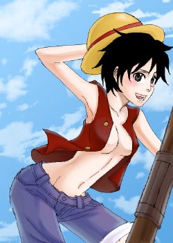 One Piece Rule 63