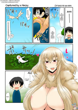 [Hroz] Harpy-san ni Tsukamatte. | Capturado por uma harpia. [Portuguese-BR] [Hentai Season]