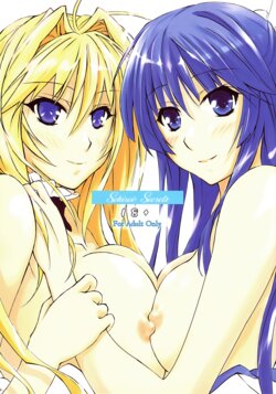 [Falling Spiral (Funeral)] Sekirei no Himegoto | Sekirei Secrets (Sekirei) [English] [EHCOVE]