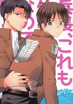 (C84) [Sakananohone (maza-)] Heichou, Kore mo Shigoto Nano Deshouka? (Shingeki no Kyojin)