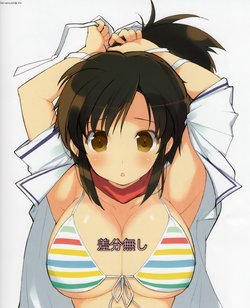 Senran Kagura New Wave Asuka Collection