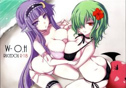 (C80) [Ruciedo (jema)] W-O.H (Touhou Project) [Korean]