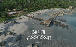 Bikini Assassin