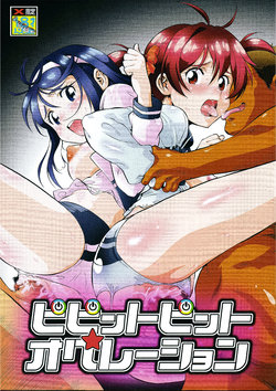 (COMIC1☆7) [Tsurikichi Doumei (Umedama Nabu)] Pippintopinto Operation (Vividred Operation)