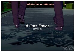 [Shiyin][TSF] A Cats Favor [Chinese] [hz个人翻译]