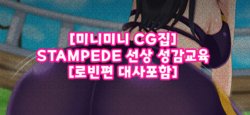 [미니미니CG집] STAMPEDE 선상 성감교육 [로빈편 대사포함]