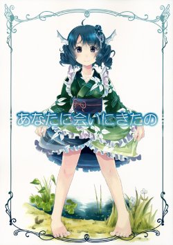 (C88) [Yume Bouei Shoujo Tai (Makako)] Anata ni Ai ni Kita no (Touhou Project)