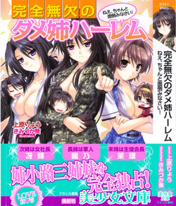 [Uehara Ryou, Kimizuka Aoi] Kanzen Muketsu no Dame Ane Harem - Nee, Chanto Mendou Minasai!