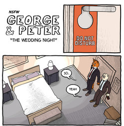 [hvlukas] George & Peter "The wedding night"